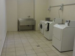IMG_7595_1.JPG